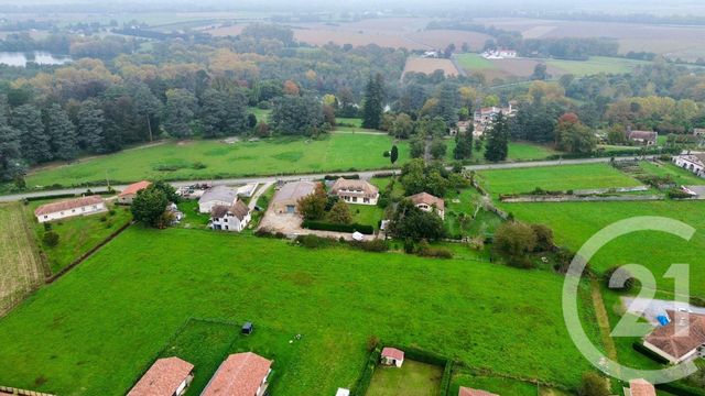 terrain à vendre - 11700.0 m2 - LABASTIDE VILLEFRANCHE - 64 - AQUITAINE - Century 21 Berritzea